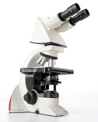 DM1000 LED Ergonomic system microscope
