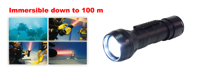 Raysun HID-100